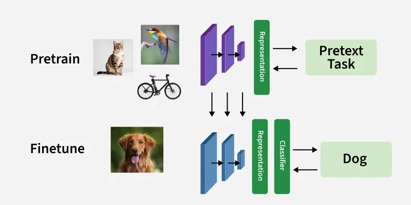 Pretrain ve Fine-tune Diyagramı