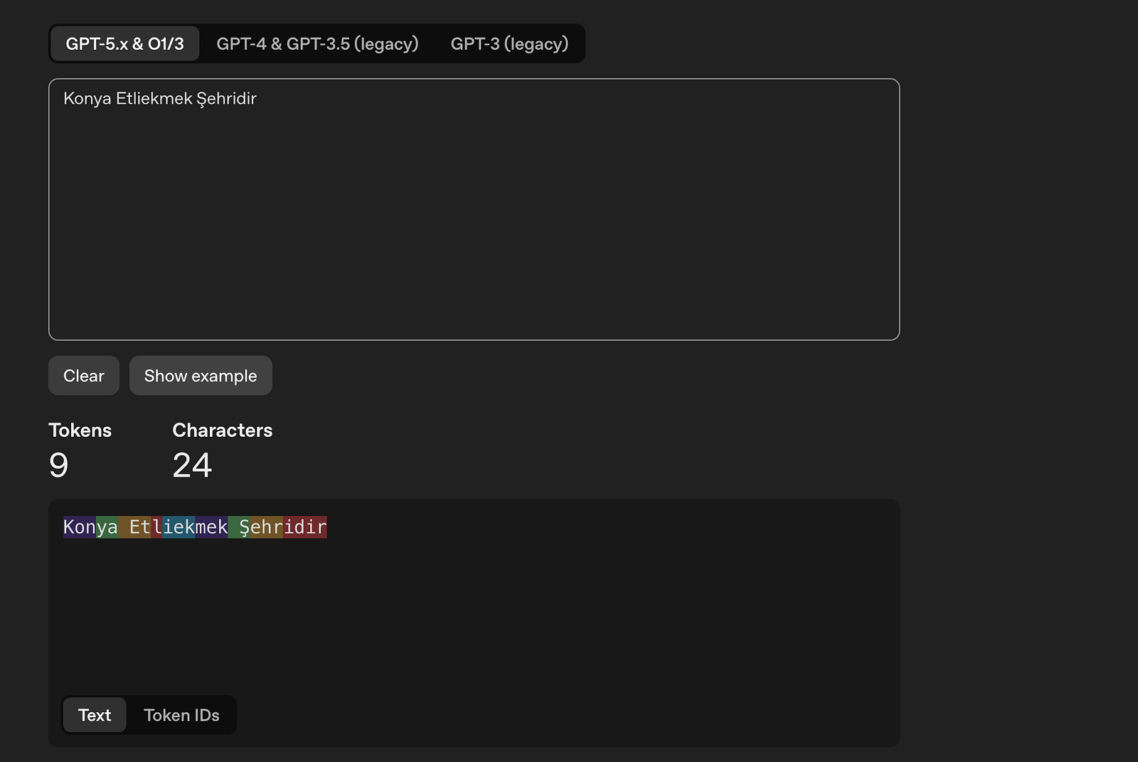 Tokenizer Token Görünümü
